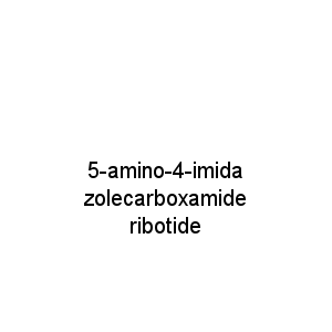 5-amino-4-imidazolecarboxamide  ribotide